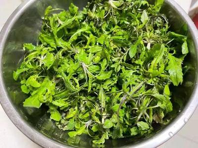 这口鲜,我馋了一年~