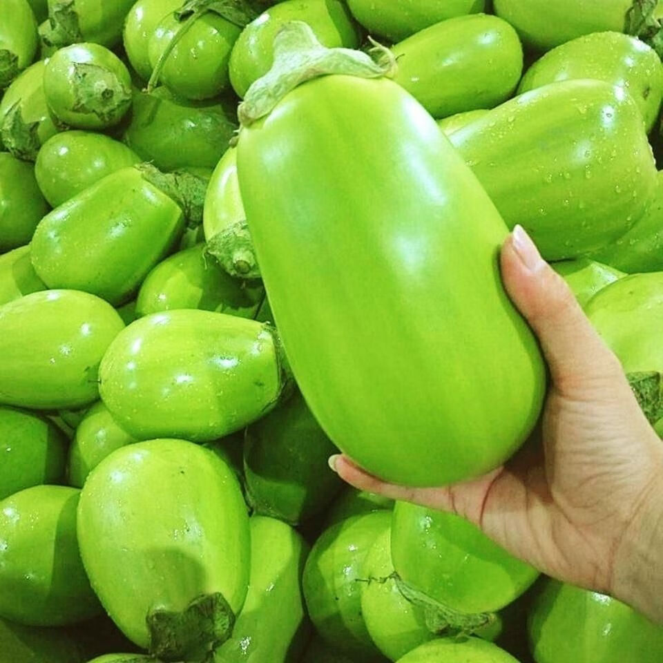 蜜钰鲜河南特产新鲜青茄子现摘时令蔬菜农家绿茄子鲜嫩1/3.