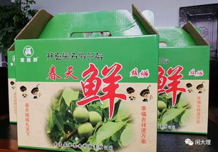 获独家专利的 春天鲜核桃 ,评鉴会上备受好评