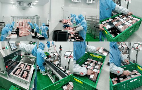 金汇鲜2.0新工厂开业,零号土猪迎来生鲜新征程
