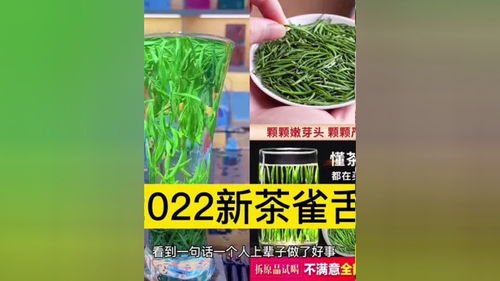 雀舌 茶中贵族 根根树立 纯芽头雀舌无叶片 青鲜回甘 50g 雀舌绿茶 绿茶 茶叶 茶