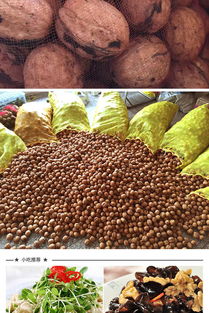 洛阳龙门鹿蹄山特产 2016年现货去青皮鲜核桃2.5kg 包邮送工具