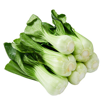 魃鲜 上海青时令应季青菜新鲜蔬菜当季小青菜翠绿鲜嫩 4000g