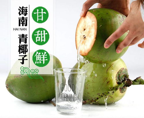 送开椰器2个装 海南新鲜大椰子 单个2.5斤 椰青热带特产水果