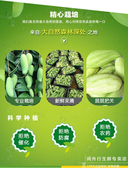 新鲜生吃酸脆芒果广西酸芒青芒广西现摘象牙酸嘢芒果腌制1 3斤5斤