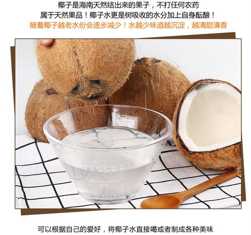 海南特产老椰子青椰椰皇新鲜当季水果椰青椰汁现摘原味去皮老椰子