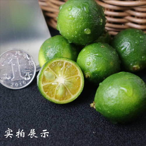 海南小金桔小青桔青金桔新鲜水果新鲜青皮桔子薄皮整箱包邮青橘子
