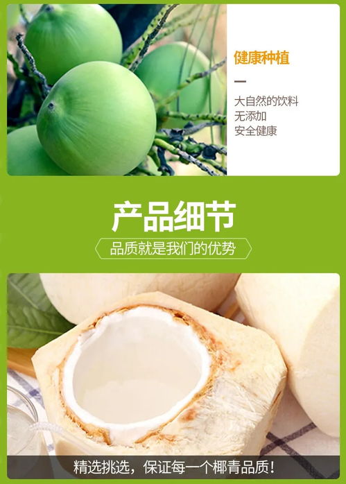 正宗奶香椰青椰子肉新鲜水果汁非海南赠开椰器吸管