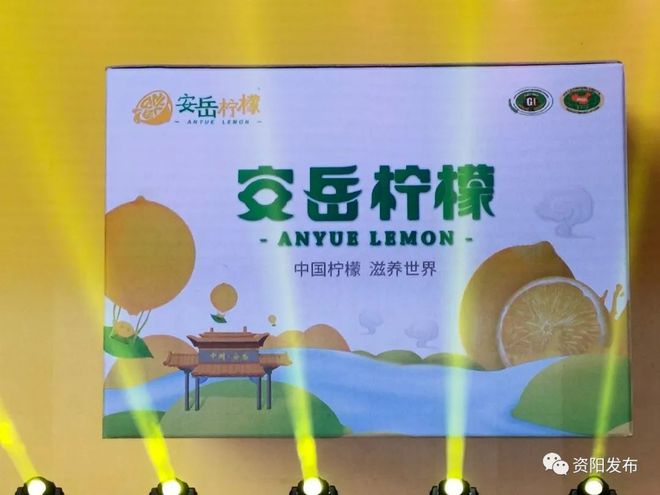 大幕拉开即迎大手笔!安岳推出39个项目,投资总额达1289亿元!