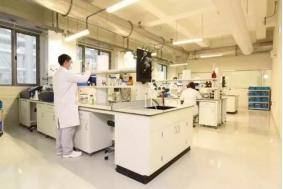 雀巢集团泰州新工厂竣工,中国消费者将可买到更新鲜的丝塔芙产品