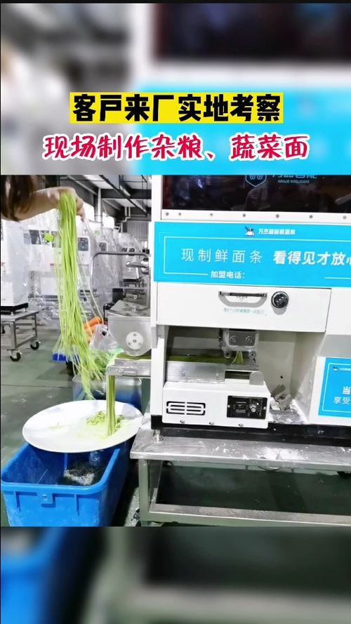 客户来厂考察,现场试机菠菜面,替代人工做面,8秒做成鲜面条