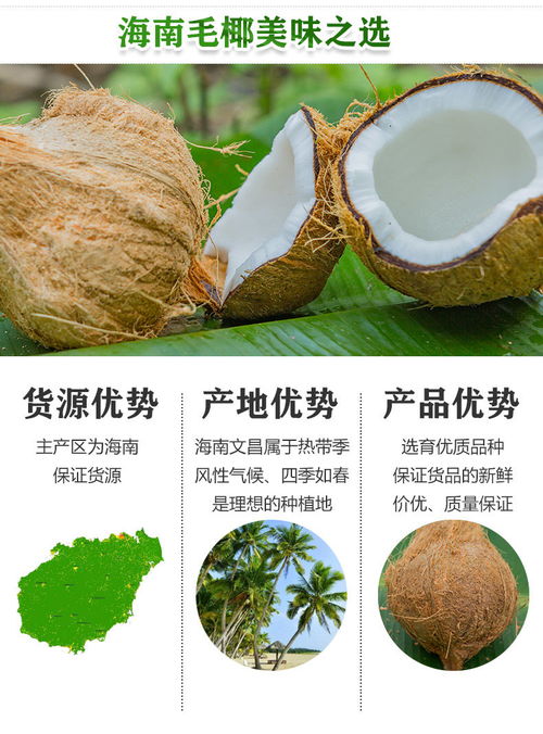 海南新鲜老椰子毛椰椰王椰肉椰汁耶子当季水果去皮青椰椰客x
