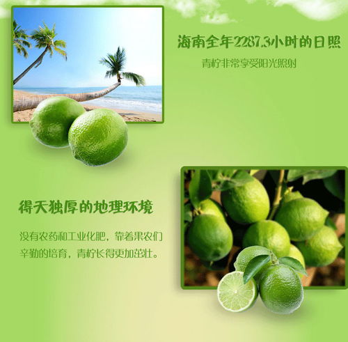 青柠檬新鲜当季水果小青柠应季批发皮薄一级1 3 5斤包邮