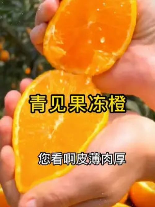 新鲜应季水果 青见果冻橙 走过了春夏秋冬,果冻味的水果,你不尝尝 美味分享 当季水果 优质农产品 口感特别好