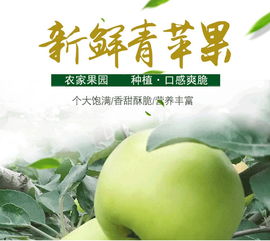 【2019青苹果新鲜脆苹果当季水果农家现摘苹果产地直销5斤包邮】-