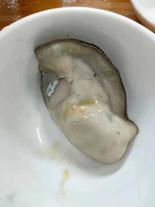 揭秘海鲜市场黑幕 都看惊呆了,爱吃海鲜的一定要看
