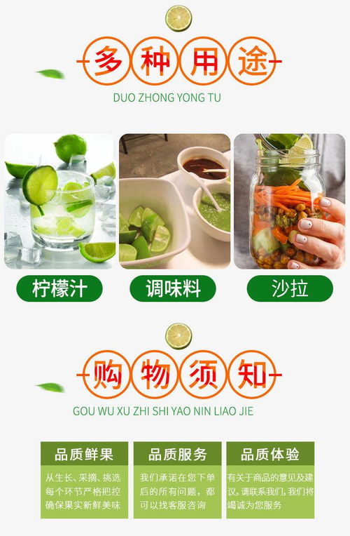 果园现摘 海南青柠檬新鲜水果应当季皮薄酸爽青.皮小青柠包邮批发