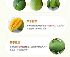 青皮甜青芒果 青芒果玉芒热带新鲜水果