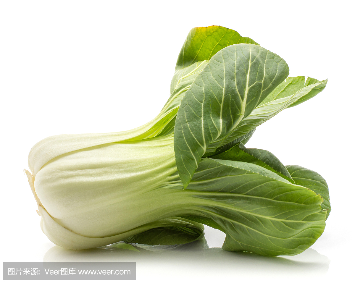 鲜白菜孤立在白色