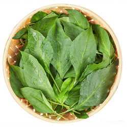 每日优鲜(横沙店)的青小米椒好不好吃?用户评价口味怎么样?广州美食青小米椒实拍图片-大众点评