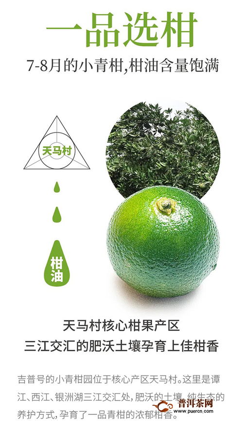 产地线报 你预定的吉普号一品青柑新鲜出炉啦