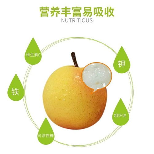 东北特产鞍山南果梨5斤4斤包邮新鲜水果细皮五斤包邮坏果包赔
