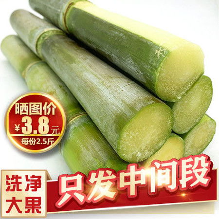 甘蔗新鲜水果孕妇现摘农家应季时令特产青.皮绿皮非黑皮广西甘蔗