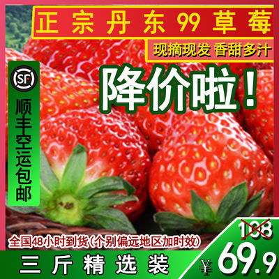 广西无籽香水柠檬自家果园四季水果新鲜饮品店专用青柠檬水果包邮