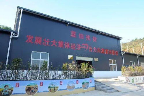 提升公众满意度 建设幸福新城 实施精准扶贫 实现精准脱贫 新城区 牢记嘱托加油干 追赶超越谱新篇 系列报道之五