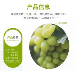 阳光玫瑰青提无籽玫瑰香葡萄贵族晴王香印青提新鲜提子水果1500g全国部分地区包邮