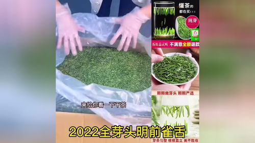绿茶 茶中贵族 根根树立 纯芽头雀舌无叶片 青鲜回甘 50g 雀舌绿茶 雀舌 茶叶 茶
