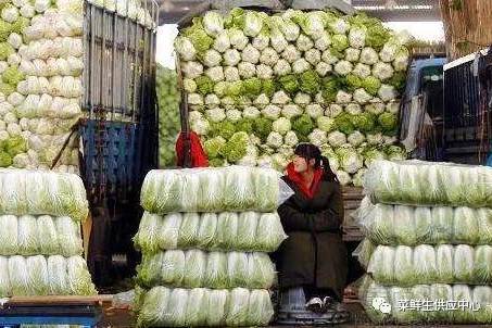 青海菜鲜生的个人展示页
