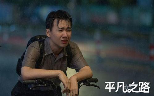 平凡之路电视剧主演,主演阵容揭秘，实力派演员演绎人生百态